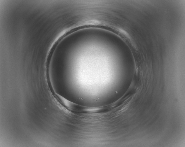 X0000067941326200604131439