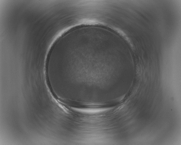 X0000067941327200604131439