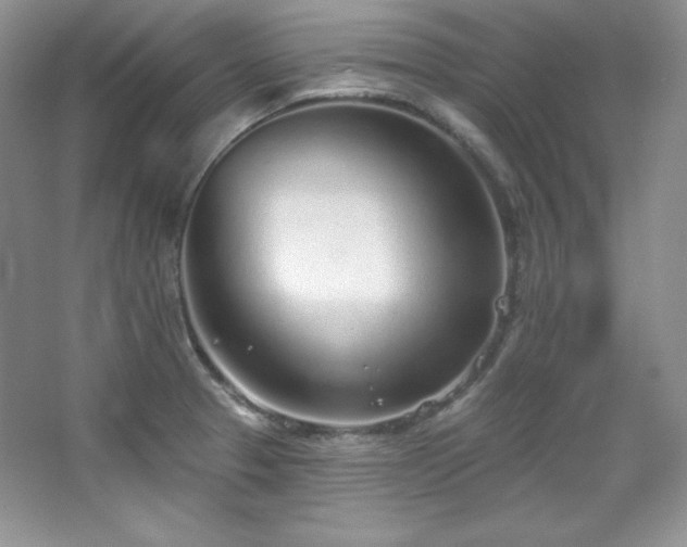 X0000067941329200604131439