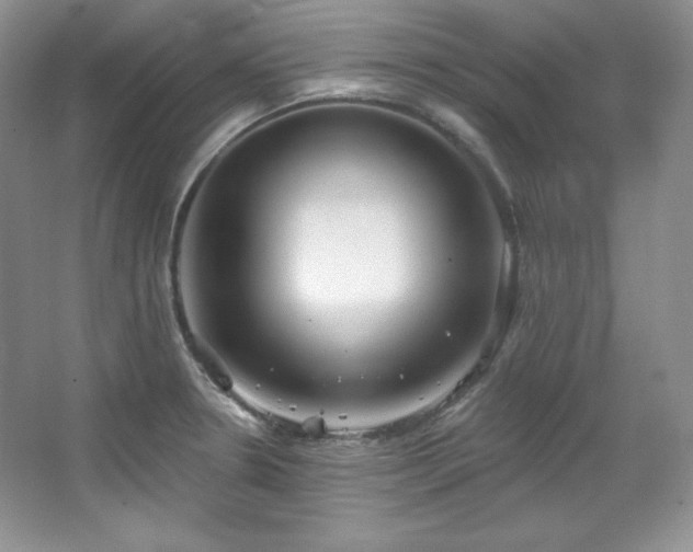 X0000067941330200604131439