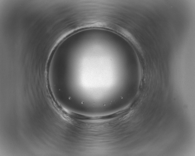 X0000067941332200604131439