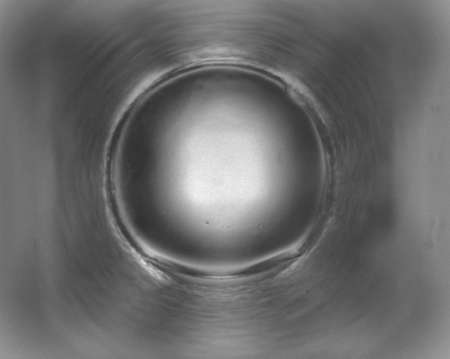 X0000067941333200604131439