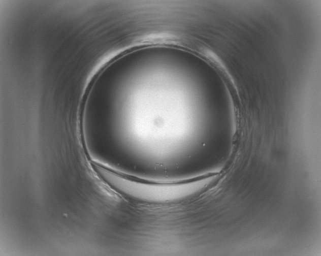 X0000067941336200604131439