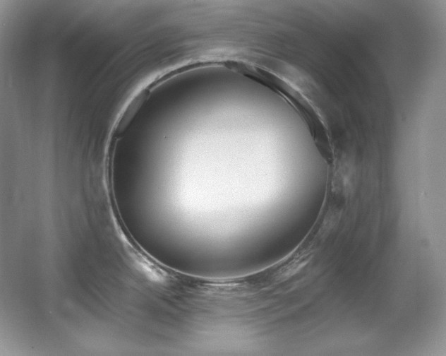 X0000067941342200604131439