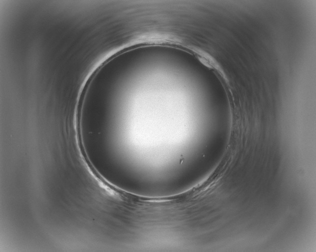 X0000067941343200604131439