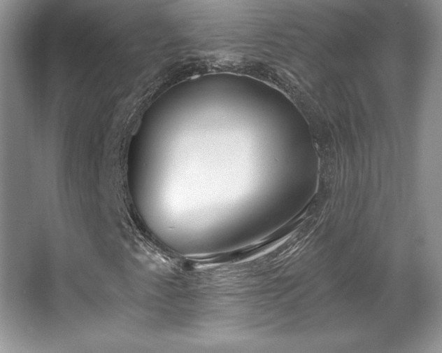 X0000067941345200604131438