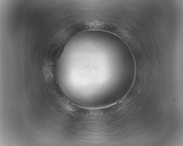 X0000067941346200604131438