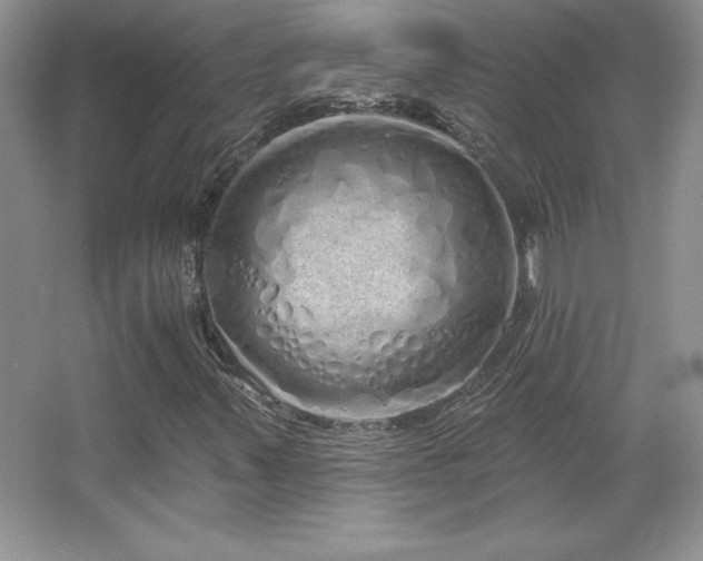 X0000067941347200604131438