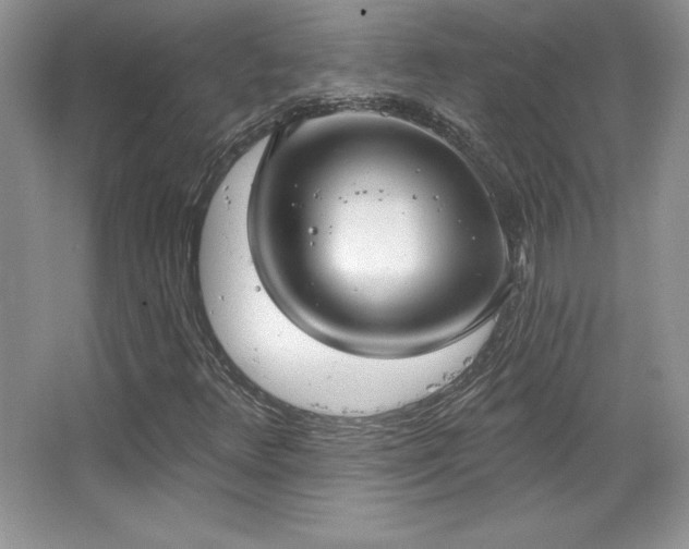 X0000067941348200604131438