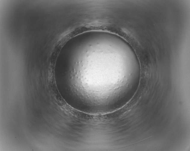 X0000067941350200604131438