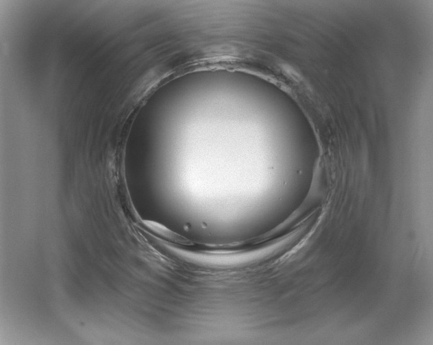 X0000067941353200604131438