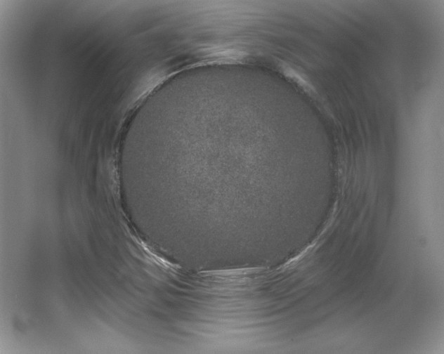 X0000067941354200604131438