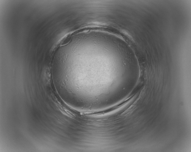 X0000067941355200604131438