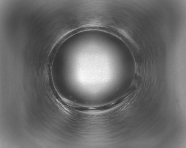X0000067941356200604131438