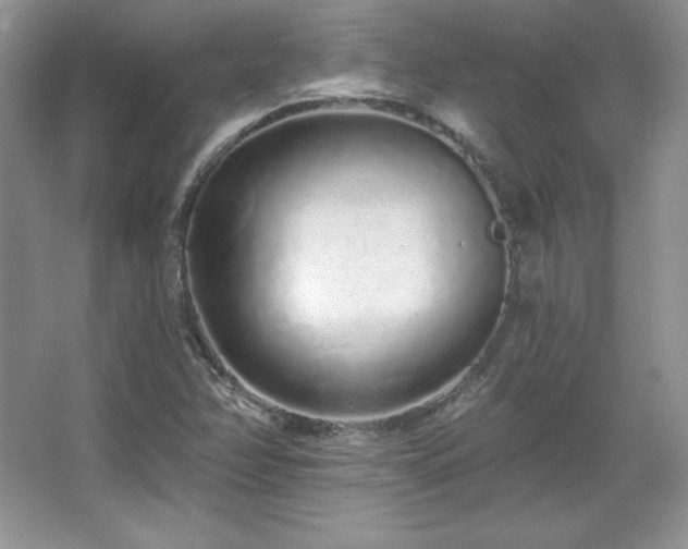X0000067941358200604131438