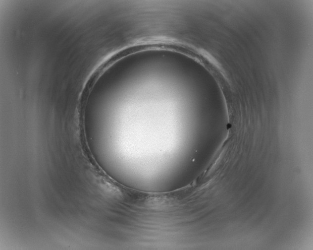X0000067941364200604131438