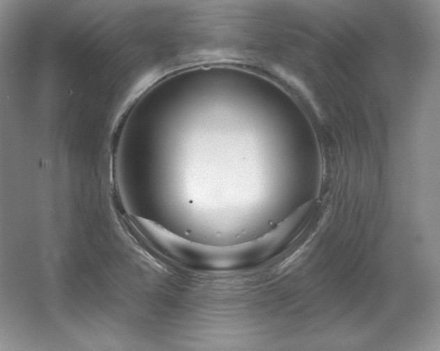 X0000067941365200604131438