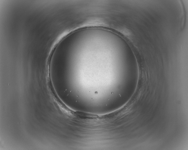 X0000067941366200604131438