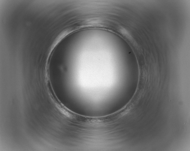 X0000067941370200604131438