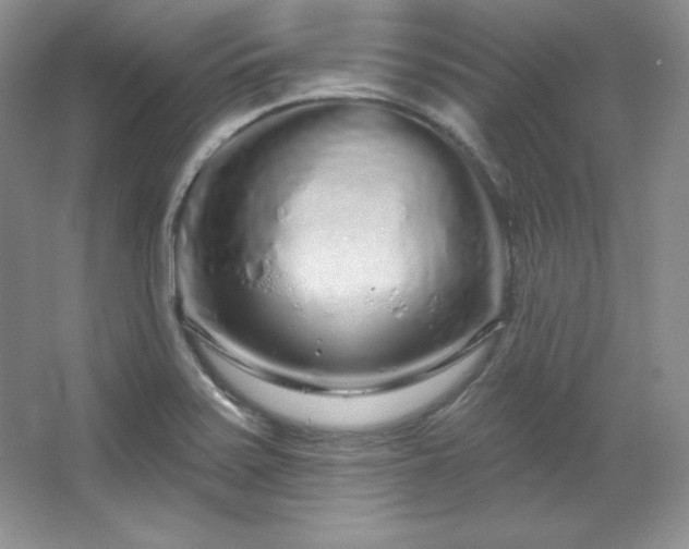 X0000067941371200604131438