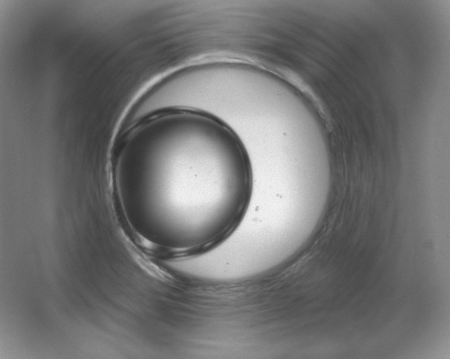 X0000067941372200604131438