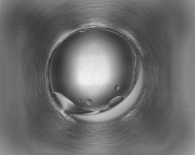 X0000067941373200604131438
