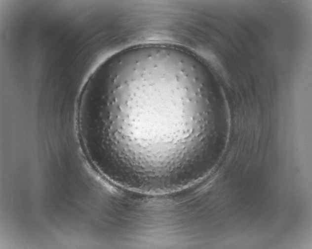 X0000067941374200604131438