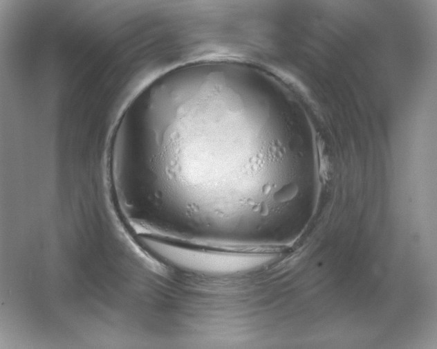 X0000067941375200604131438