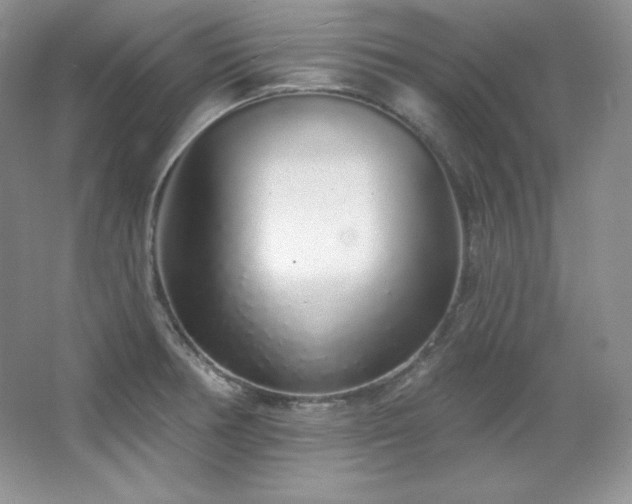 X0000067941378200604131438