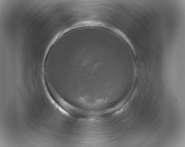 X0000067941381200604131438