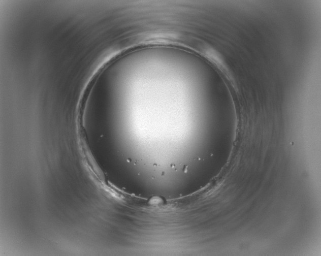 X0000067941384200604131437