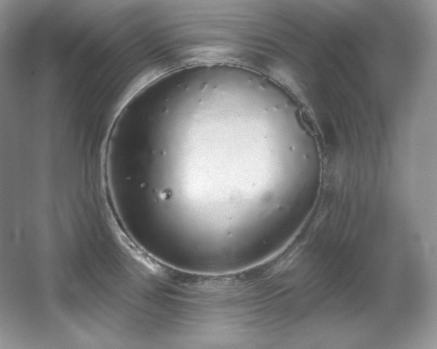 X0000067941386200604131437