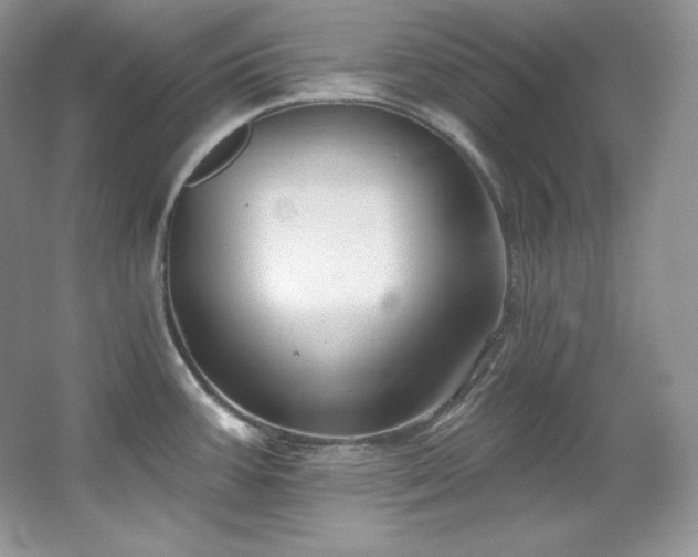 X0000067941387200604131437