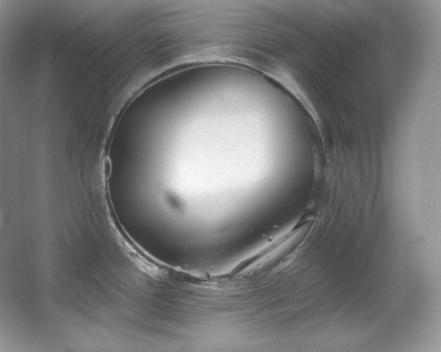 X0000067941388200604131437