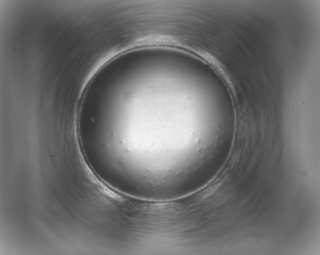 X0000067941390200604131437