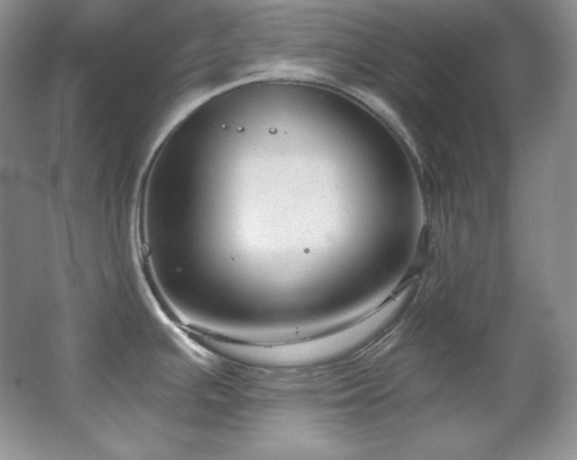 X0000067941391200604131437