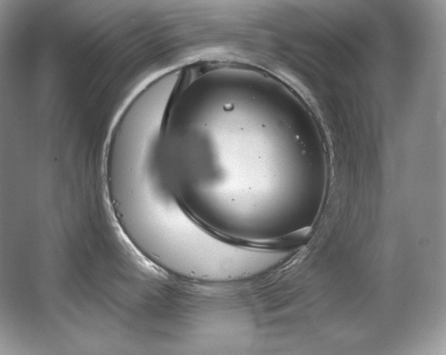 X0000067941392200604131437