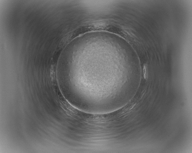 X0000067941395200604131437