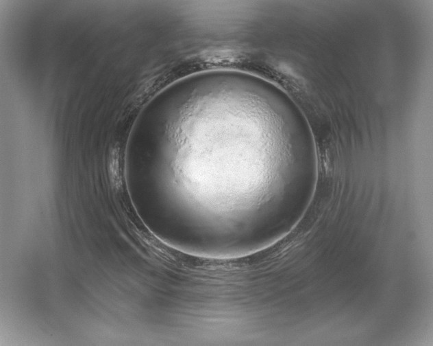 X0000067941396200604131437