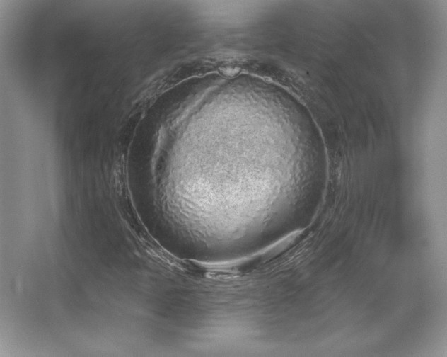 X0000067941397200604131437