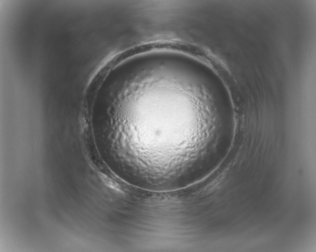 X0000067941400200604131437