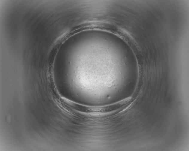 X0000067941403200604131437