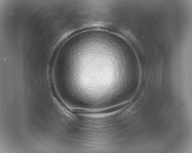 X0000067941404200604131437