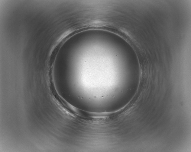 X0000067941410200604131437
