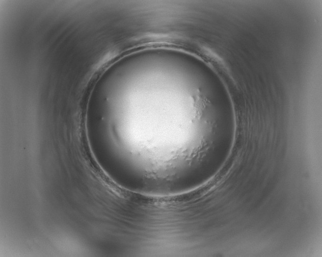 X0000067941411200604131437