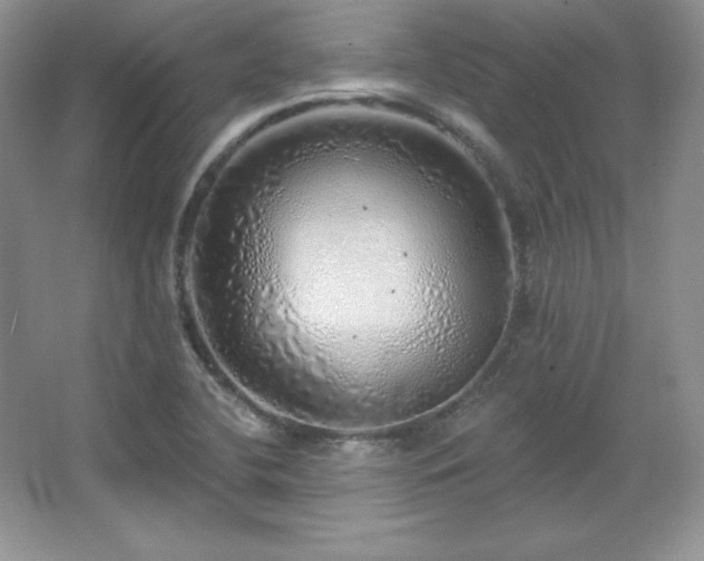 X0000067941412200604131437