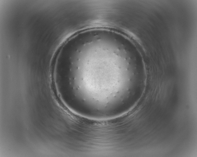 X0000067941415200604131437