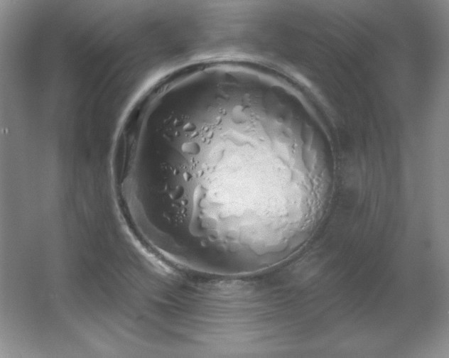 X0000067941416200604131437