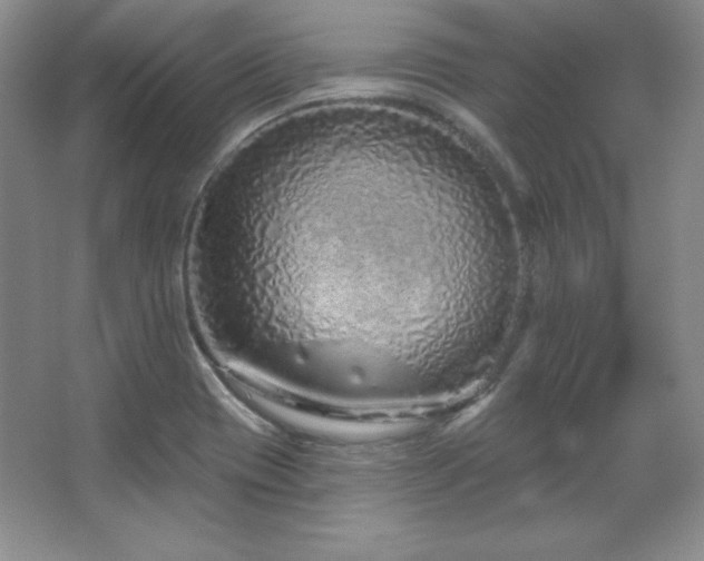 X0000067941417200604131437