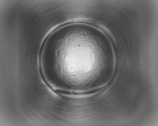X0000067941420200604131437